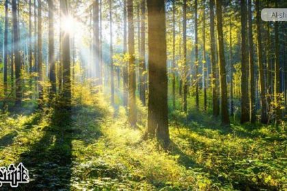 فعل الأصلح، معانيه، وجوبه، وتأثيره في نظام الوجود