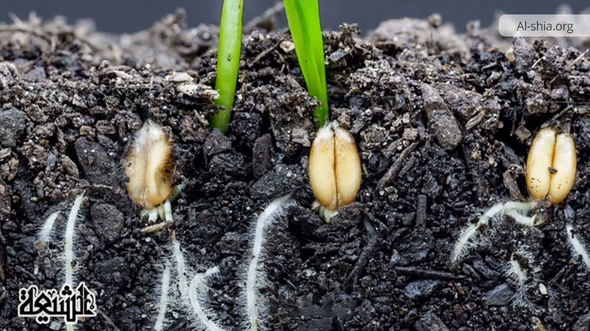 الفالق في القرآن: معانيه وتجلياته في الكون والحياة